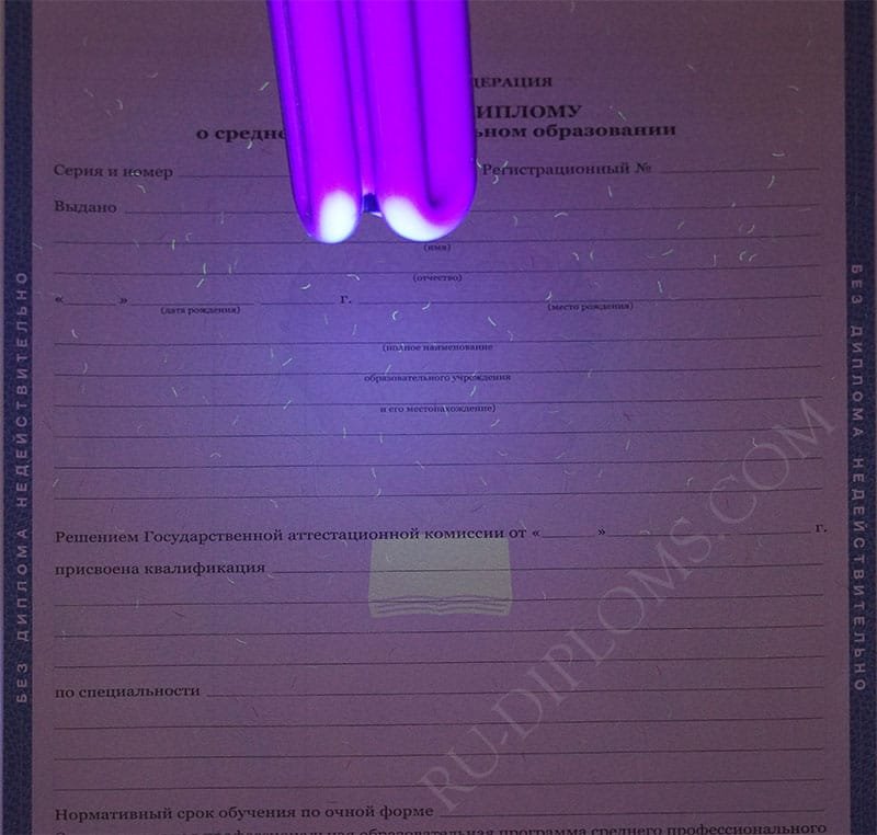 Диплом техникума или колледжа 2011-2013 год 