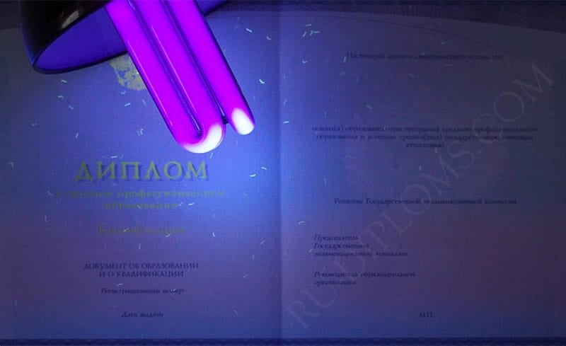 Диплом техникума или колледжа 2014-2026 НОВОГО ОБРАЗЦА 