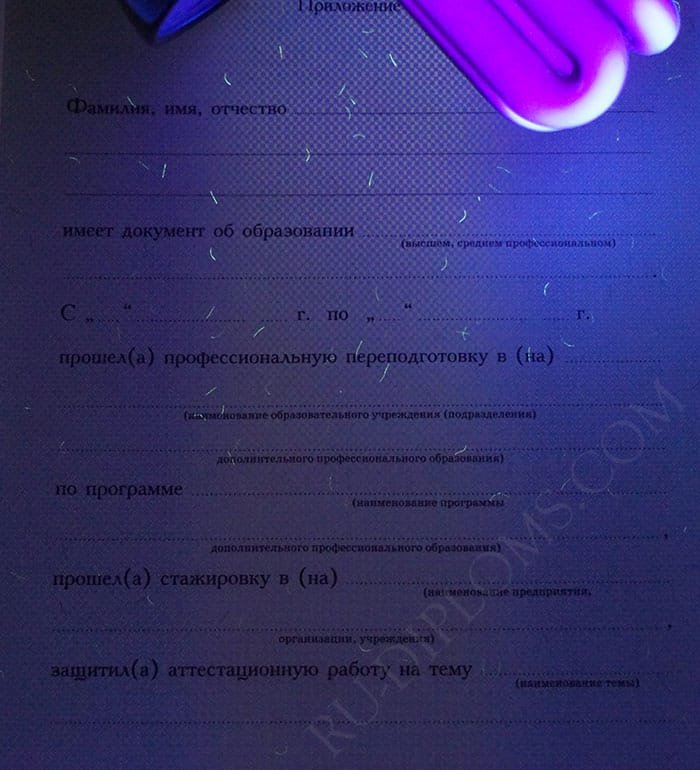 Диплом о переподготовке 2010 года 