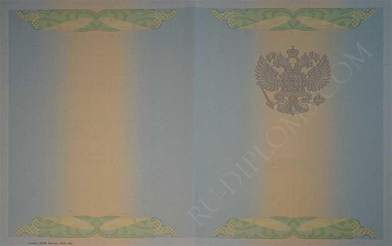 Диплом магистра 2004-2009 год 